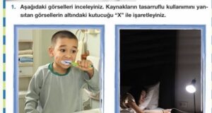 4. Sınıf Fen Bilimleri Ders Kitabı Cevapları 221-222. Sayfa Pasifik Yayınları