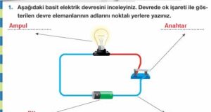 4. Sınıf Fen Bilimleri Ders Kitabı Cevapları 237-238. Sayfa Pasifik Yayınları