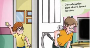 4. Sınıf Fen Bilimleri Ders Kitabı Cevapları 230. Sayfa Pasifik Yayınları