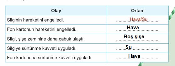 5. sınıf fen bilimleri sayfa 81 cevapları 1. kitap
